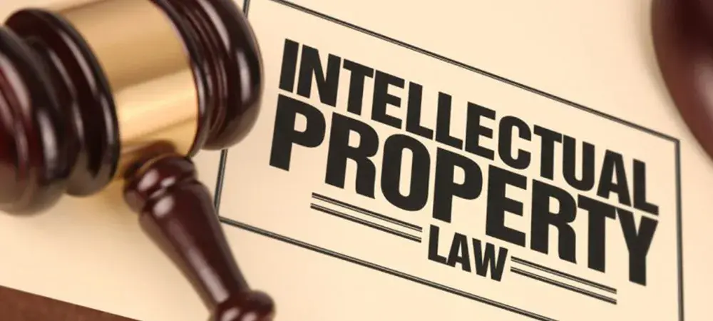 Intellectual-Property-Rights